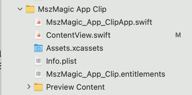 Project navigator showing the newly added App Clip target files