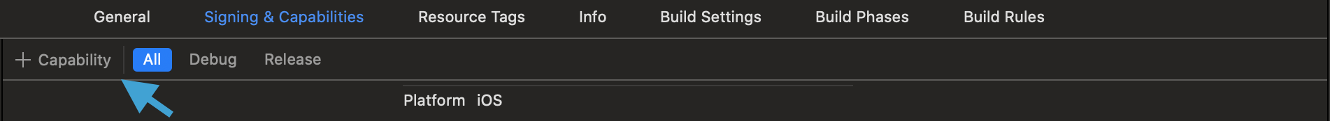 Adding the App Group capability in the Signing and Capabilities tab