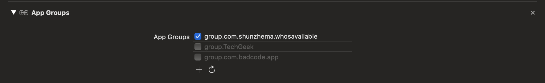 The same App Group identifier assigned across the app and extension targets