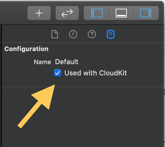 Used with CloudKit checkbox in the model inspector