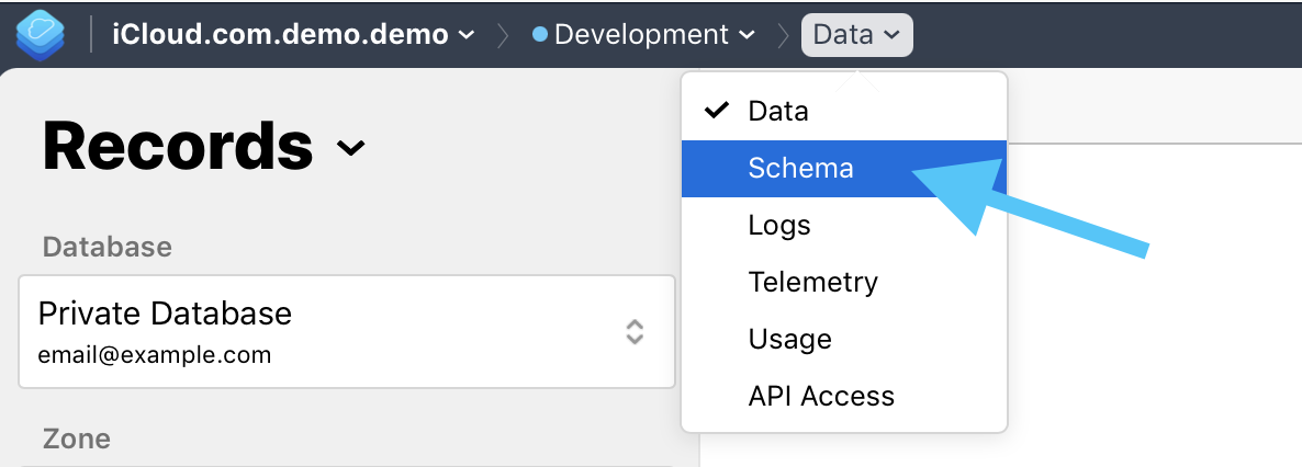 CloudKit dashboard view showing records in the development environment