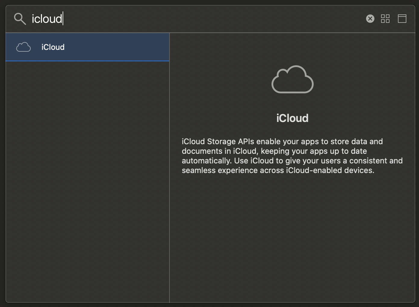 Xcode iCloud capability with CloudKit enabled