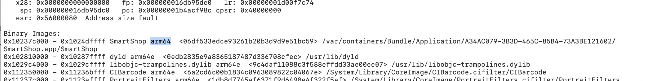 Binary architecture location in a crash report