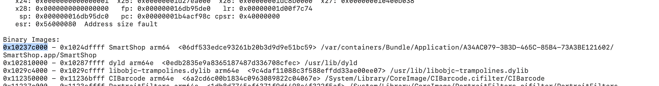 Load address location in a crash report