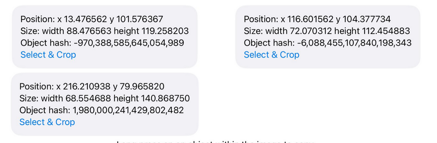 Detected object cards showing subject bounds, size, and a select-and-crop action