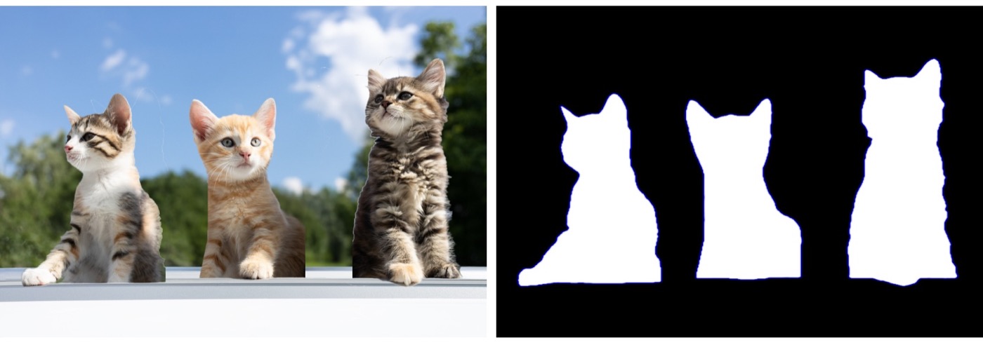 A cat photo shown beside the generated foreground mask for its detected subjects