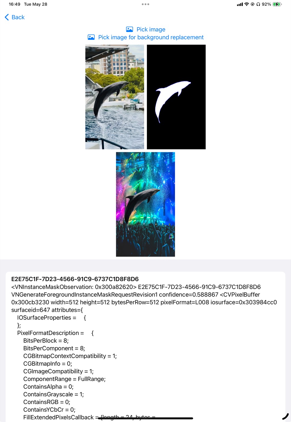 A dolphin extracted from one photo and composited onto a new background