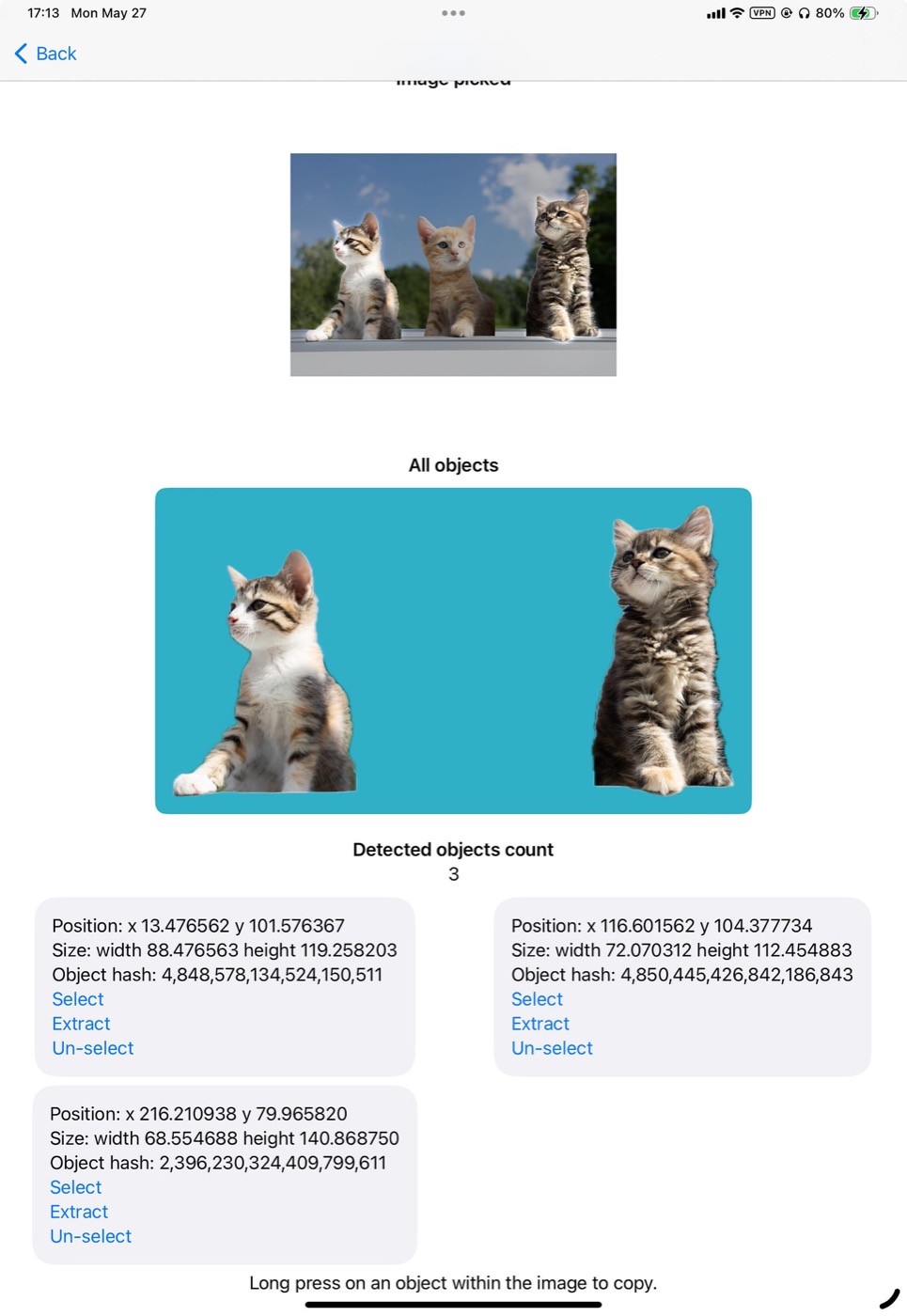 Two selected cats extracted together from the original image