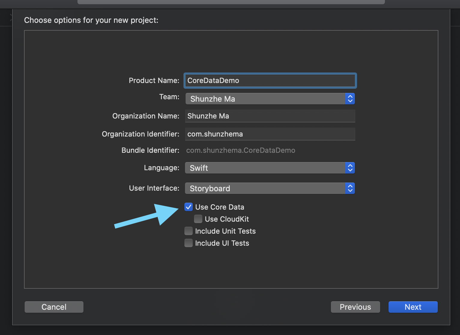 Xcode new project screen with Use Core Data checked