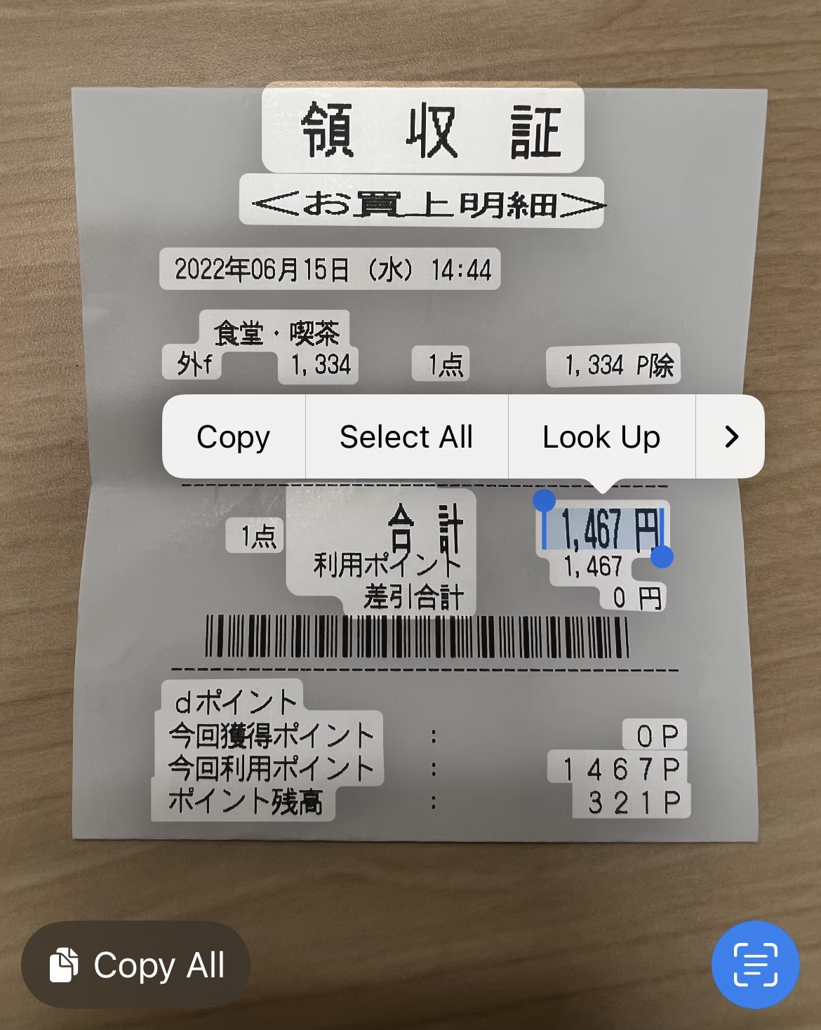 iPhone screen showing live text recognition from the camera with selectable text highlighted