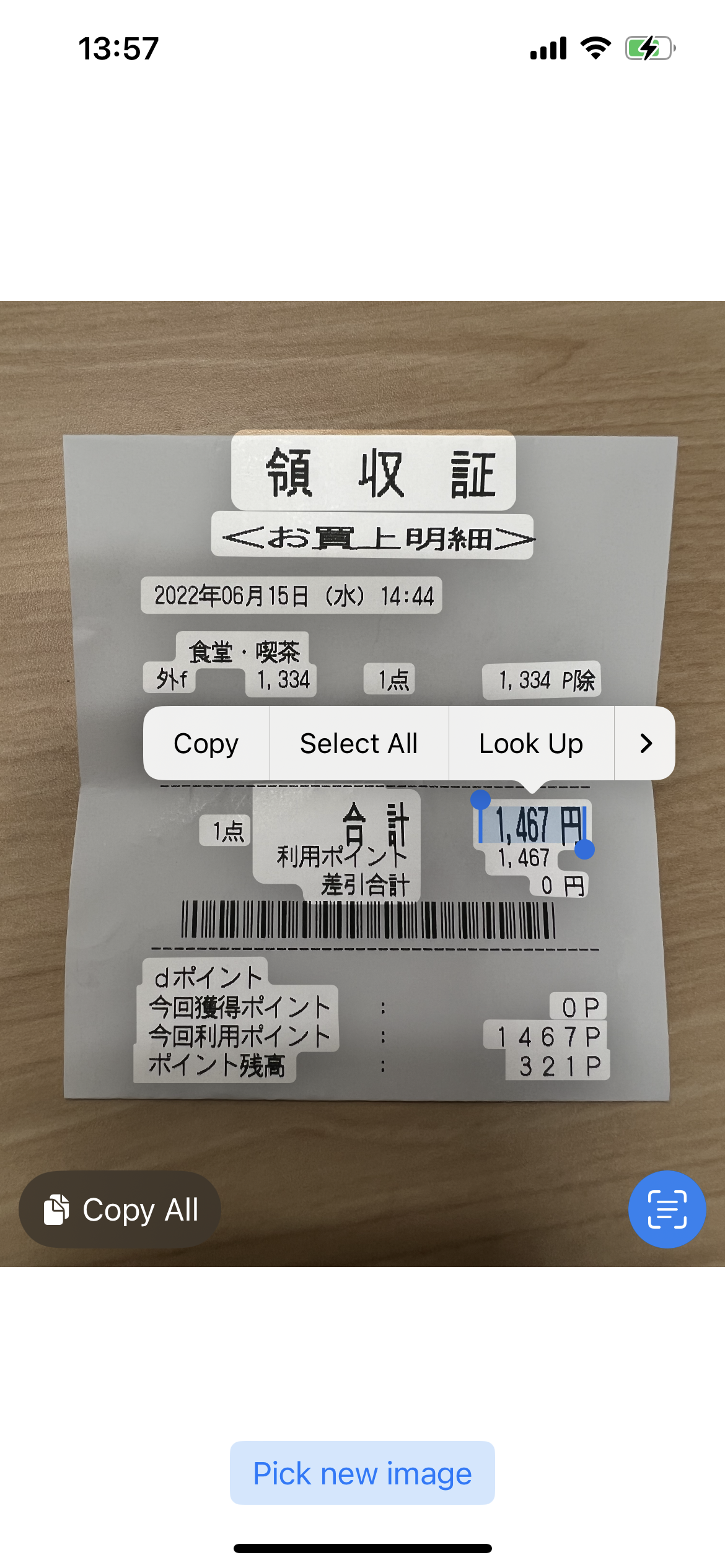 Still image after analysis with recognized text areas available for selection