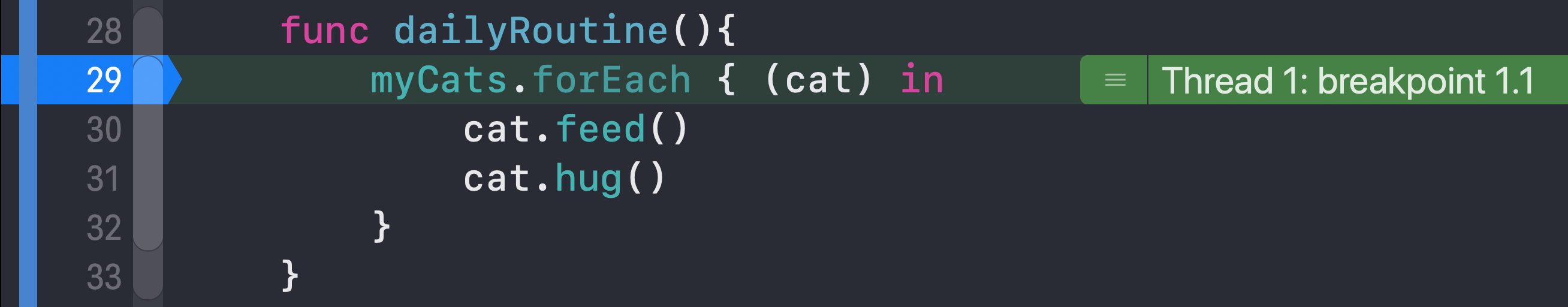 Xcode paused at a breakpoint during program execution