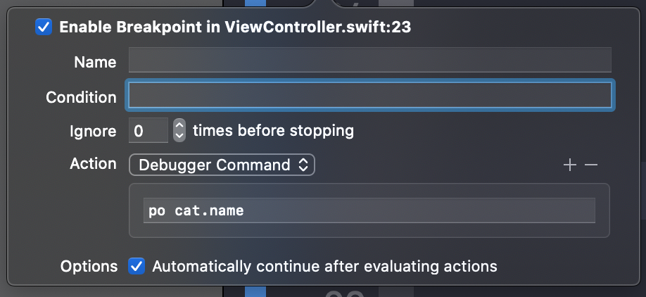 Breakpoint editor showing action fields and continue automatically