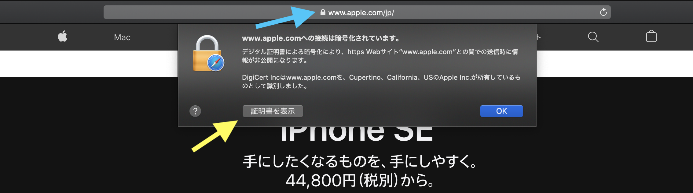 A screenshot related to extracting and using an SSL certificate for pinning