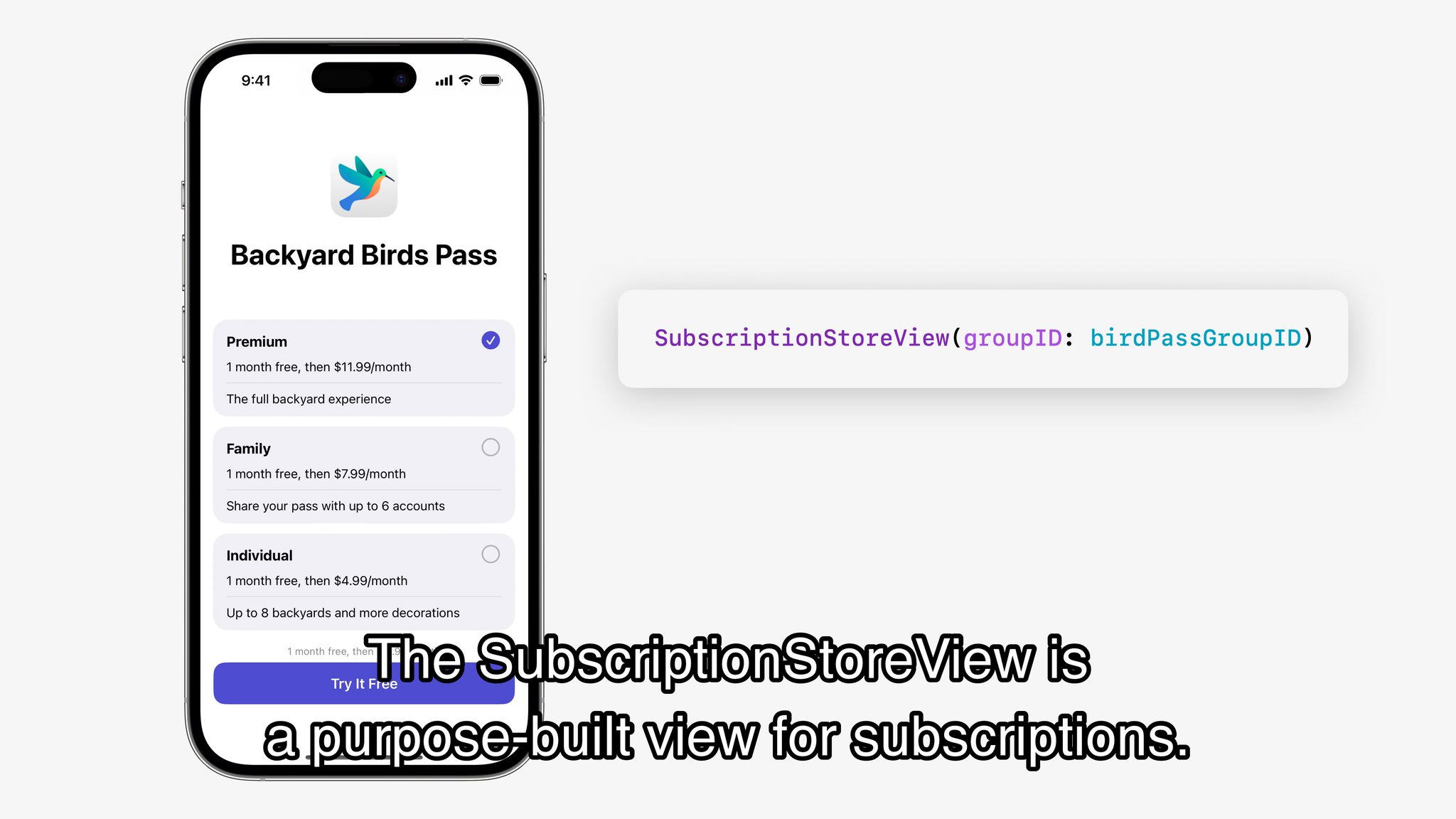 StoreKit ProductView showing an in-app purchase card inside a SwiftUI app