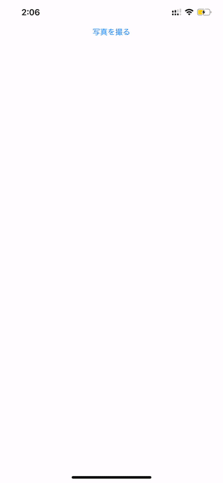 VisionKit document scan flow used before detecting Japanese text regions